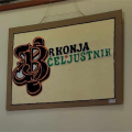 Brkonja-Celjustnik-1