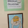 Brkonja-Celjustnik-5