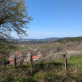 Planinski-pohod-na-Rodik-4-25-7